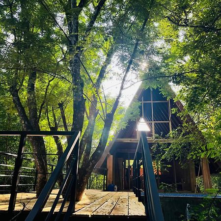 Habarana Tree House Mutu Village Exterior photo